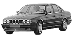 BMW E34 P1666 Fault Code